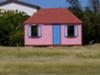 Pink House