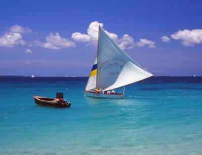 A racing boat comes close to shore