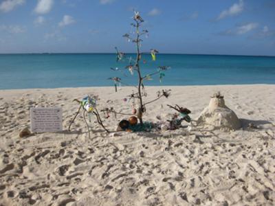 Our Anguilla Christmas Tree!