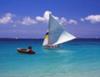 A racing boat comes close to shore